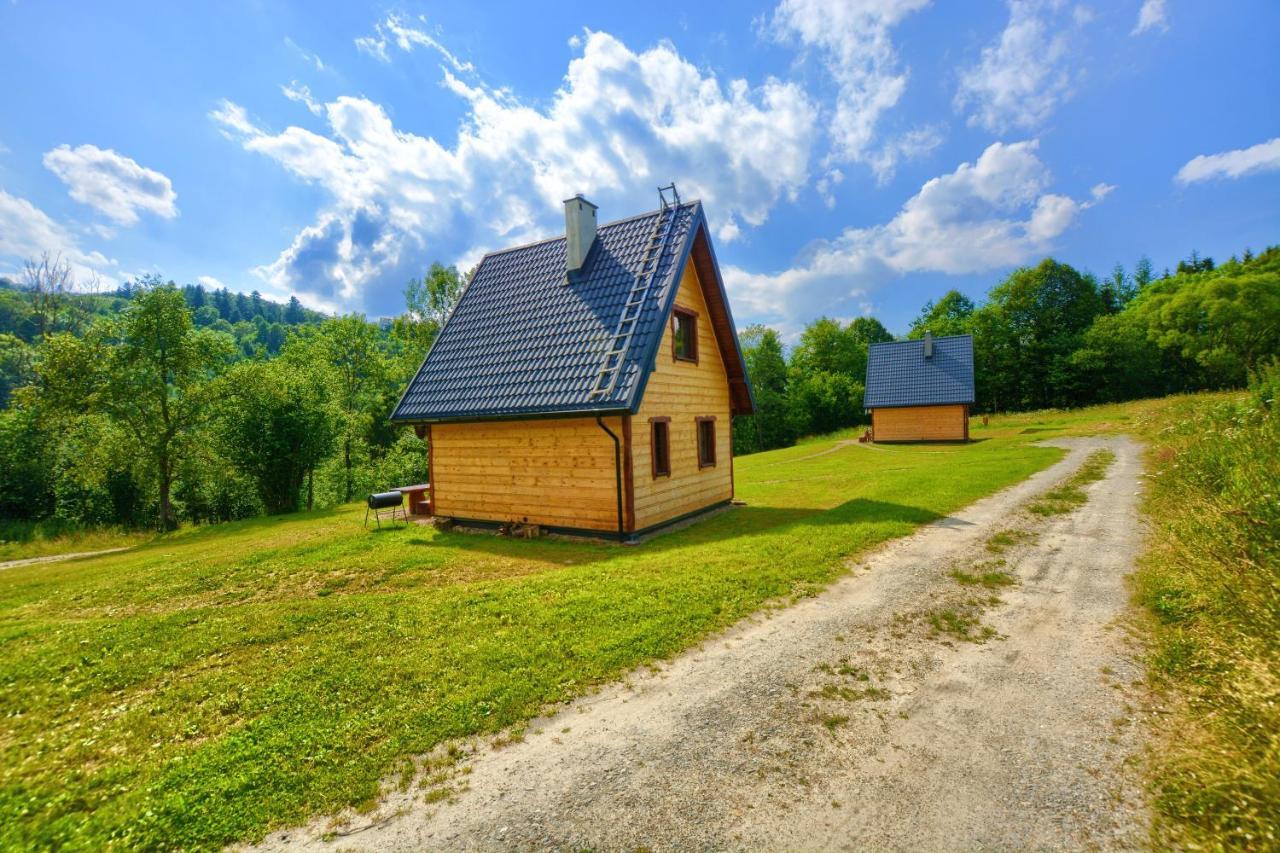 فيلا Dwernik Bukowina Bieszczady المظهر الخارجي الصورة
