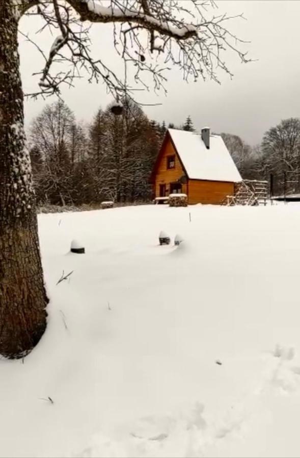 فيلا Dwernik Bukowina Bieszczady المظهر الخارجي الصورة